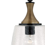 Malin Pendant 9", Matte Black with Brass Accents