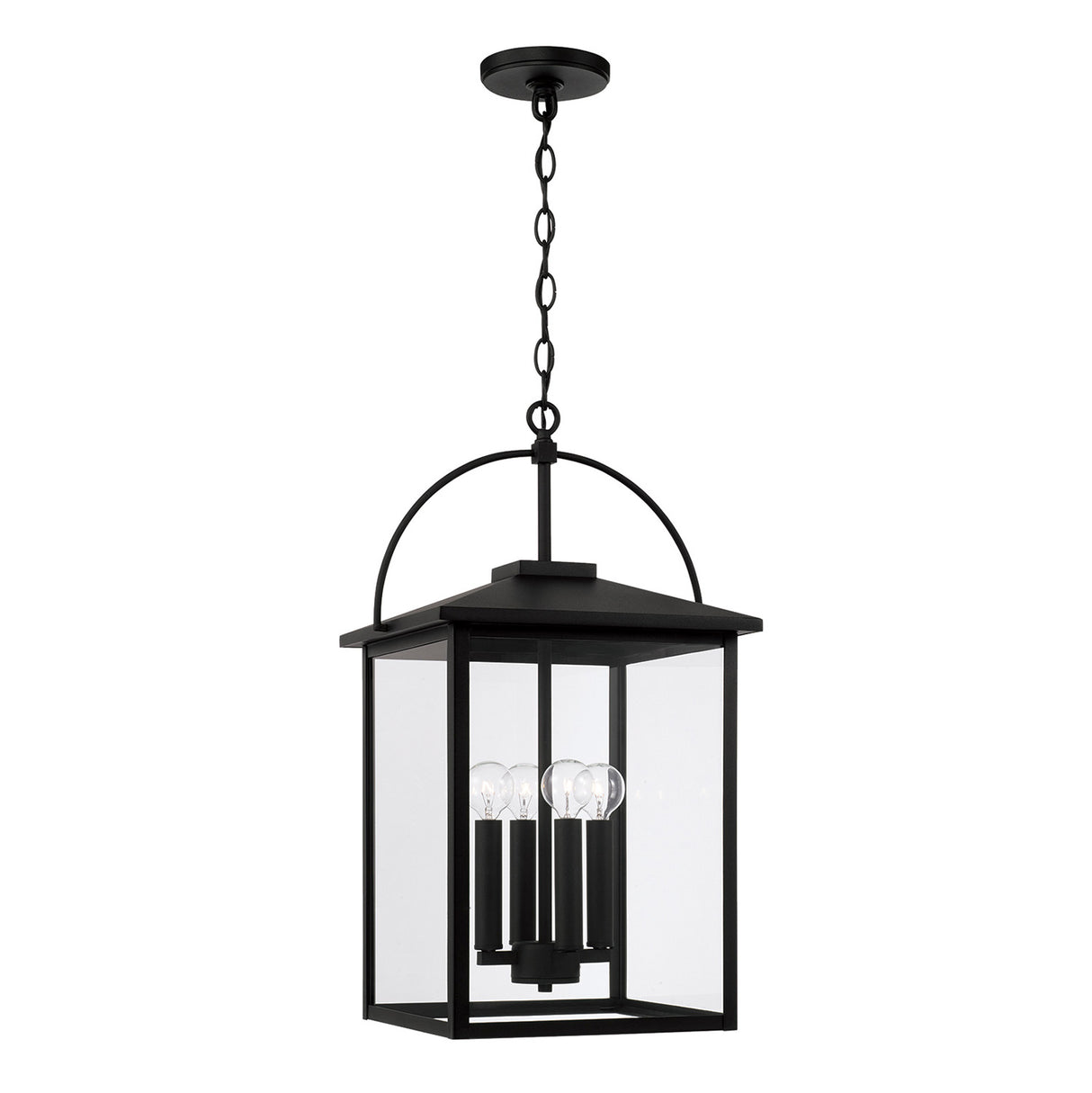 Darby Outdoor Hanging Light, Black