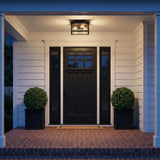 Chester Outdoor Flush Mount, Black geometric Flush Mount in a Modern Farmhouse Outdoor with a black door and boxwood topiaries.