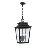 Beckett Outdoor Hanging Light, Black