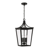 Ellery Outdoor Hanging Light, Black