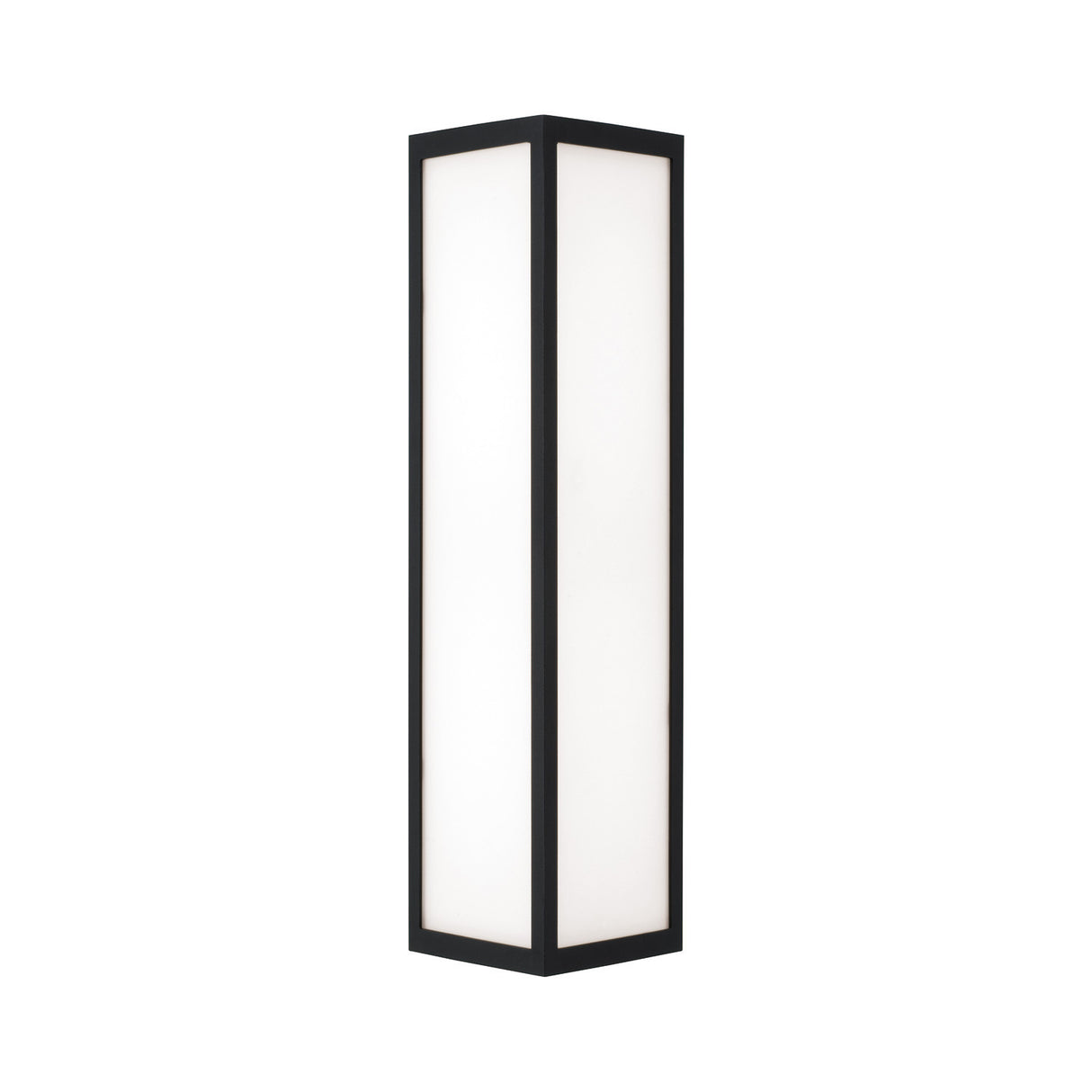 Ellis LED Outdoor Wall Light, Medium 22" Black