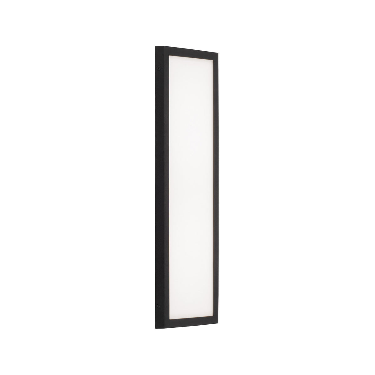 Ellis LED Outdoor Wall Light, Medium 22" Black