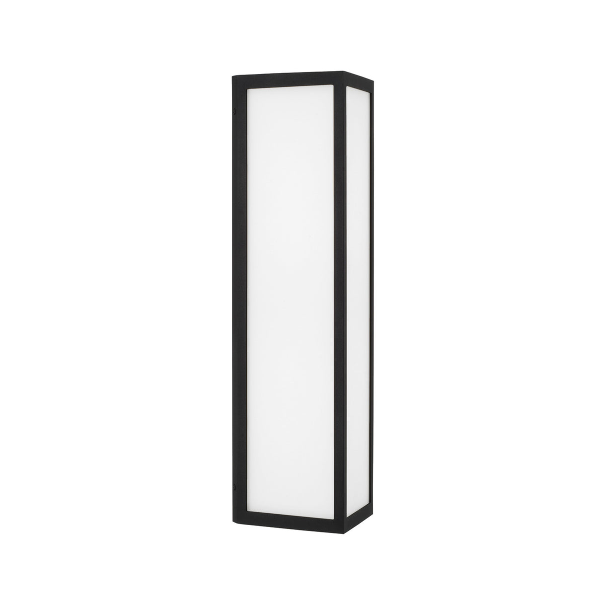 Ellis LED Outdoor Wall Light, Medium 22" Black