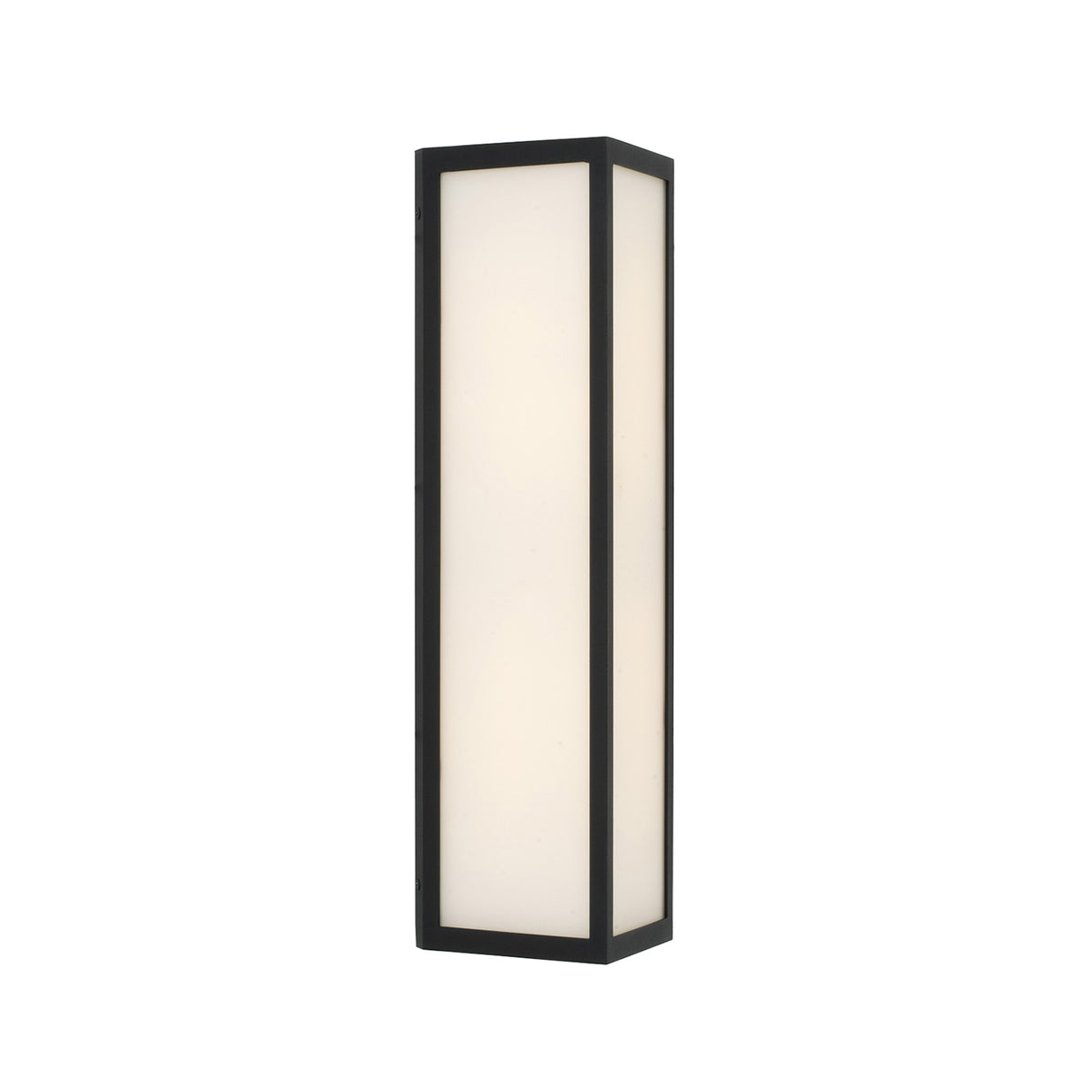 Ellis LED Outdoor Wall Light, Medium 22" Black