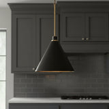 Avin Pendant 15, Matte Black and Aged Brass for Modern home with Dark Gray Shiplap