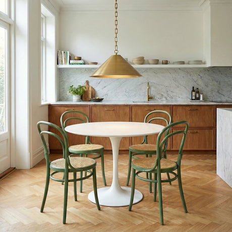 Vita Pendant 22, Aged Brass styled in a Modern Dining Room with wood floors.