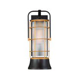 Irvington LED Outdoor Wall Light 20", Black and Gold