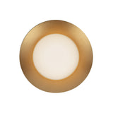 Elon LED Wall Sconce 9", Brushed Brass and Opal Glass