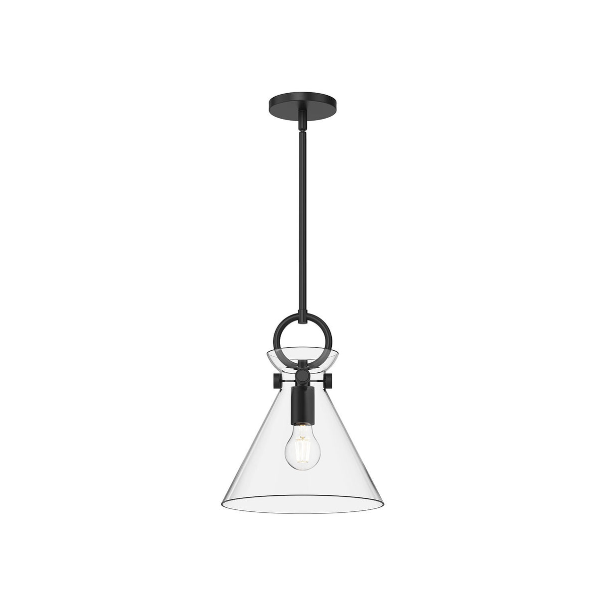 Aris Small Pendant 11", Matte Black and Clear Glass
