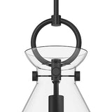 Aris Medium Pendant 14", Matte Black and Clear Glass