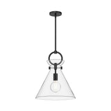 Aris Medium Pendant 14", Matte Black and Clear Glass