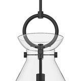 Aris Large Pendant 18", Matte Black and Clear Glass