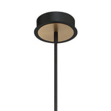 Roscoe 6 Light LED Chandelier 32", Black and Brass