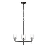 Emrys 3 Light Chandelier 24", Aged Iron