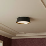 Langston Flush Mount 14" Matte Black with Brushed Brass for Modern home with White Walls