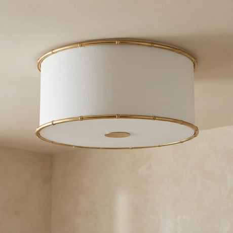 Gael Flush Mount 19", Gilded Brass linear flush mount in a Transitional Living Room.