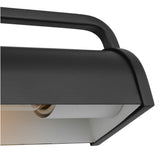 Edwin Picture Light 19", Aged Iron