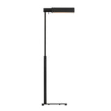Edwin Floor Lamp, Aged Iron