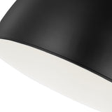 Rodney Large Pendant 18", Matte Black and Modern Brass