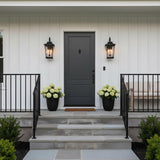 Pembroke Large Outdoor Wall Light 26", Textured Black