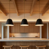Ursa Pendant 16, Matte Black and Satin Brass for Modern home with Natural Wood