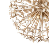 Genevieve Chandelier 30", Natural Rope and Coco Shells
