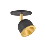Sita LED Adjustable Spot Light 4", Aged Brass and Bronze