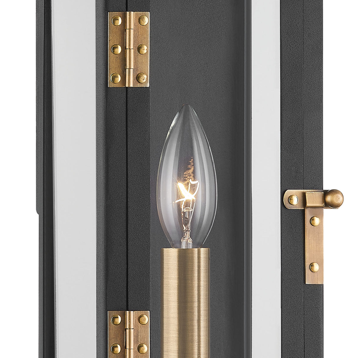 Dante Outdoor Wall Light, Medium 19", Black and Patina Brass