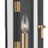 Dante Outdoor Wall Light, Medium 19", Black and Patina Brass