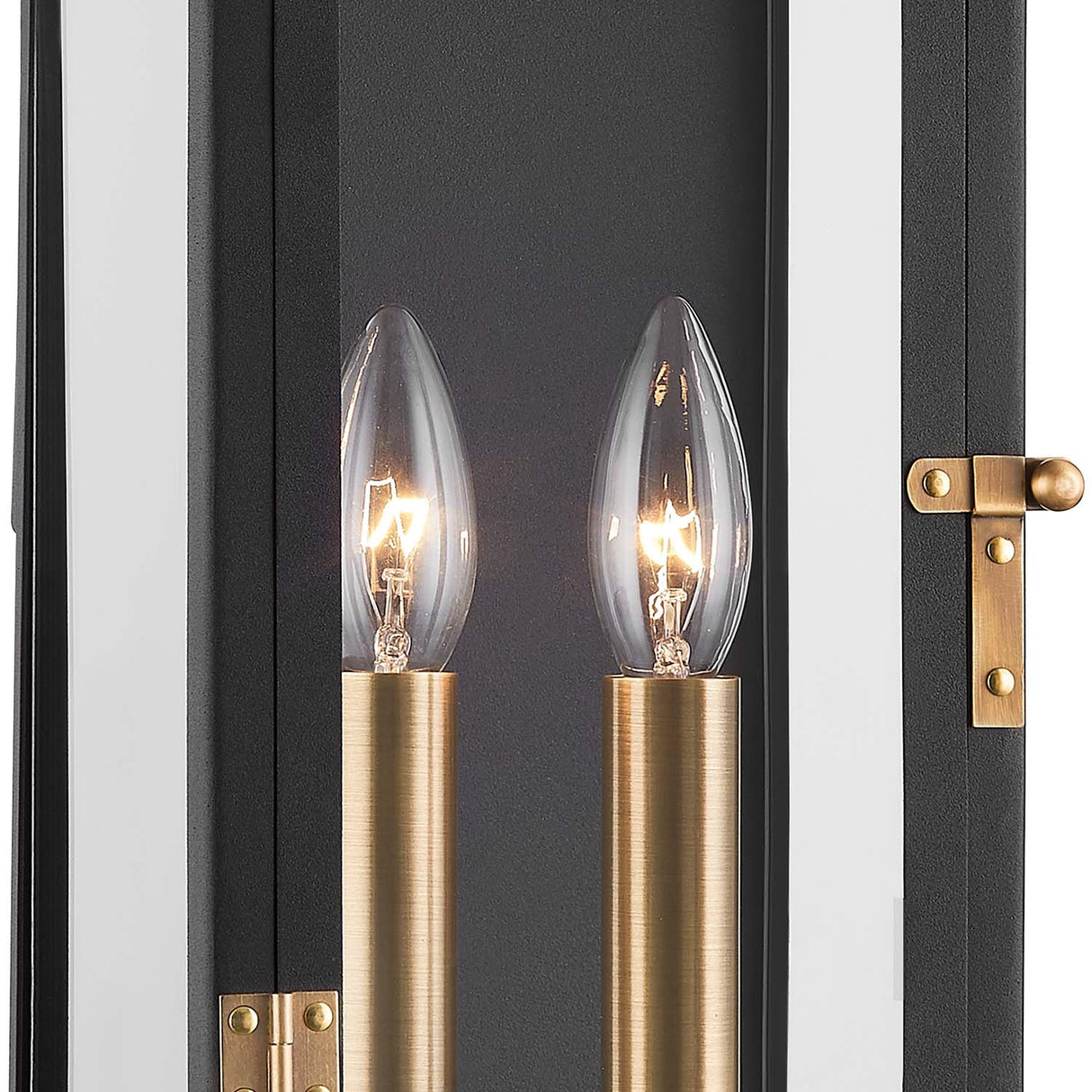 Dante Outdoor Wall Light, Large 24", Black and Patina Brass