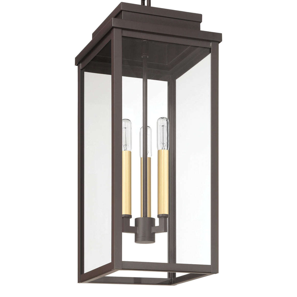 Trevor Outdoor Hanging Light, Large 23", Bronze