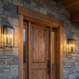 Trevor Outdoor Wall Light, Medium 20", Bronze