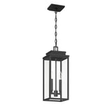 Trevor Outdoor Hanging Light, Medium 18", Black