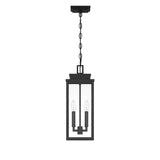 Trevor Outdoor Hanging Light, Medium 18", Black