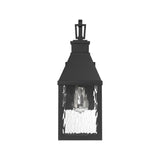 Westin Outdoor Wall Light, Medium 18", Black and Water Glass