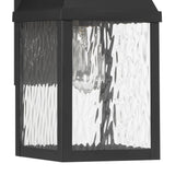 Westin Outdoor Wall Light, Medium 18", Black and Water Glass