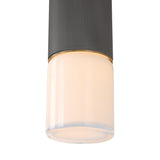 Langley Outdoor Wall Light, Medium 17" Graphite with Patina Brass Accents