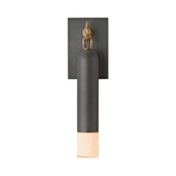 Langley Outdoor Wall Light, Medium 17" Graphite with Patina Brass Accents