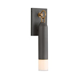 Langley Outdoor Wall Light, Medium 17" Graphite with Patina Brass Accents