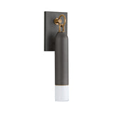 Langley Outdoor Wall Light, Medium 17" Graphite with Patina Brass Accents