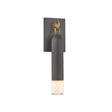 Langley Outdoor Wall Light, Medium 17" Graphite with Patina Brass Accents