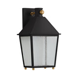 Baelor Outdoor Wall Light, Medium 16", Textured Black with Patina Brass Accents