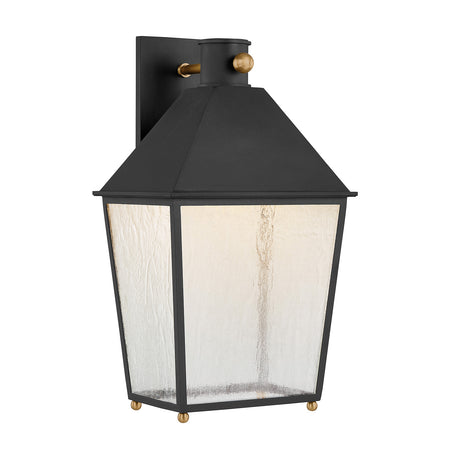 Baelor Outdoor Wall Light, Large 20", Textured Black with Patina Brass Accents