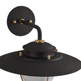 Oswego Outdoor Wall Light, Small 11", Forged Iron and Patina Brass