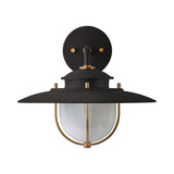 Oswego Outdoor Wall Light, Small 11", Forged Iron and Patina Brass