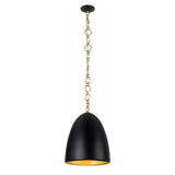 Charlie Pendant 14", Matte Black and Brushed Brass