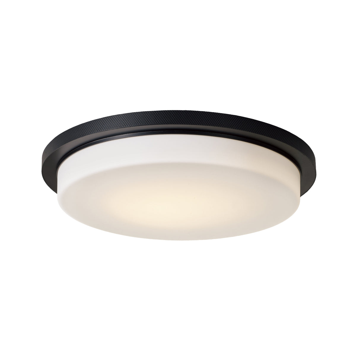 Martine LED Flush Mount 16", Matte Black and Opal Glass