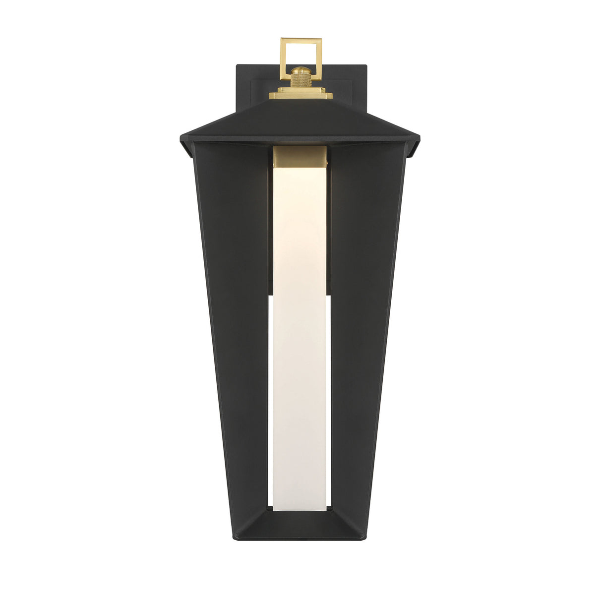 Reynard LED Outdoor Wall Light, Large 19", Black with Brass
