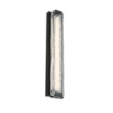 Darion Outdoor LED Wall Sconce, Large 24", Matte Black and Clear Textured Glass